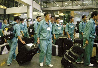 Vietnam’s labor prospects in 2014 - ảnh 1